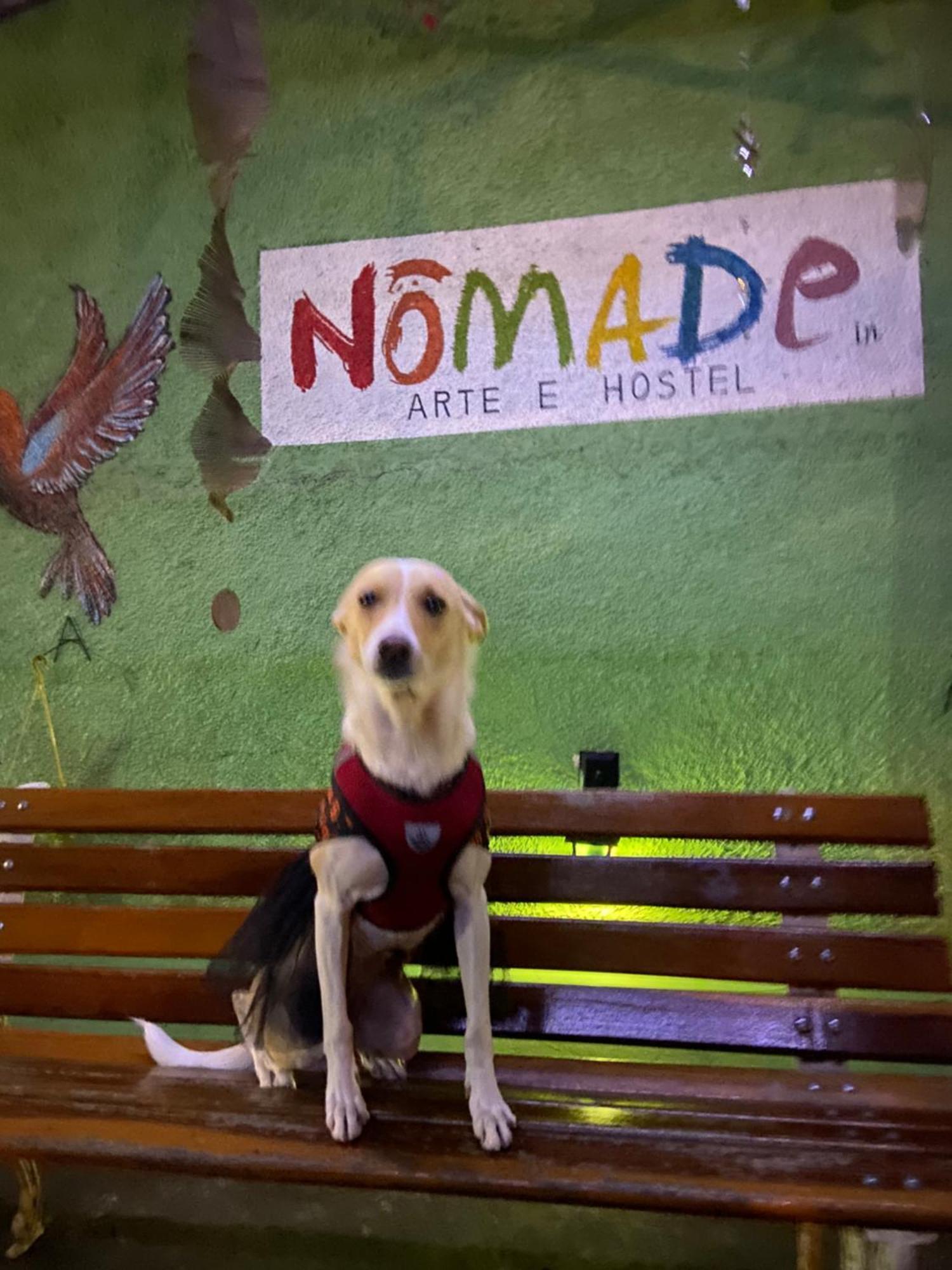 Nomade In Arte E Hostel São Paulo Extérieur photo